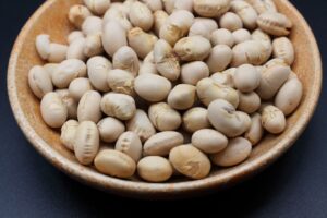 遺伝子組み換え食品　GMO